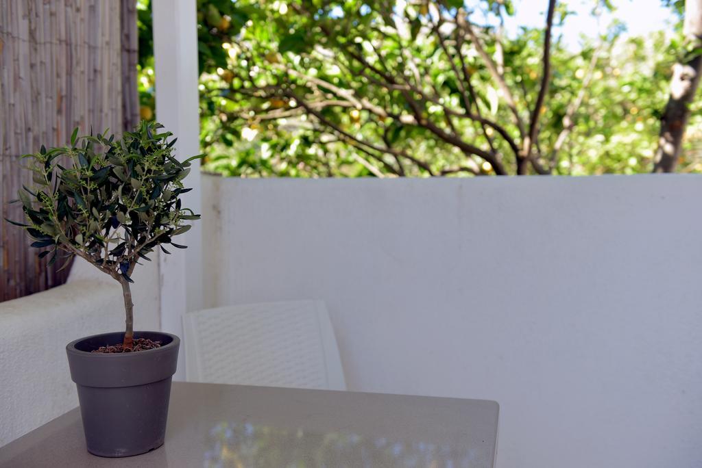 Flora'S Houses Mykonos Klouvas Exterior photo